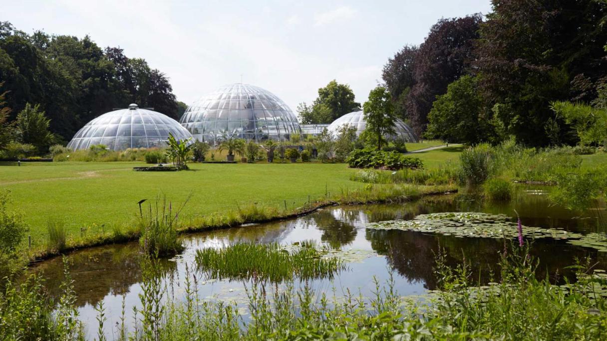 Botanischer Garten, Zürich