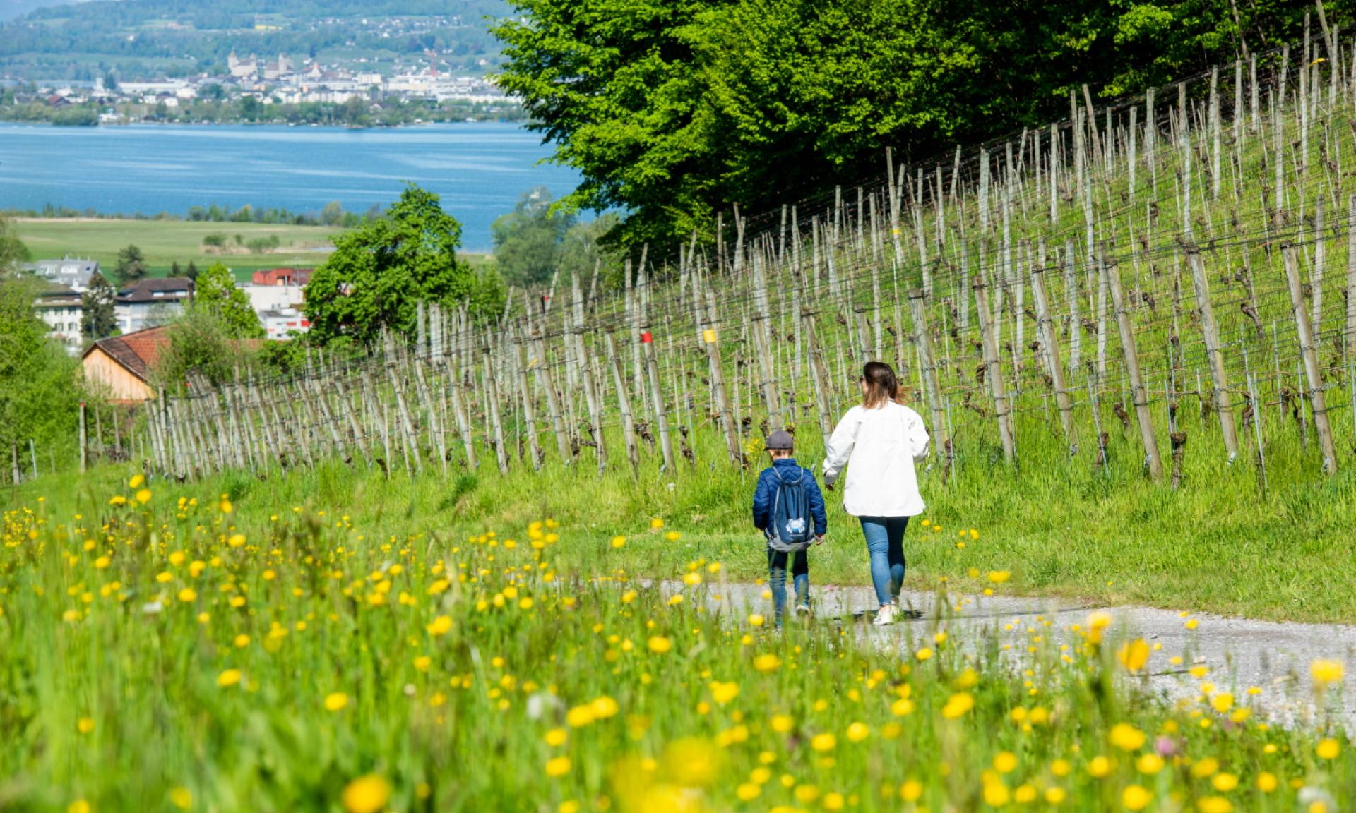 Obersee Adventure Trail