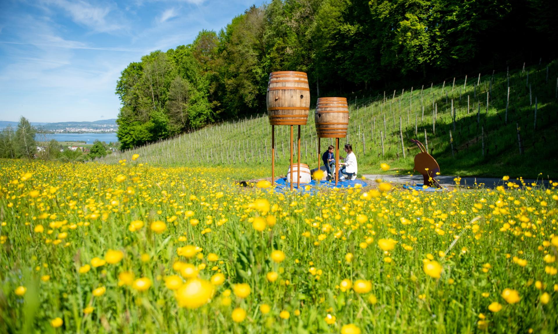 Obersee Adventure Trail