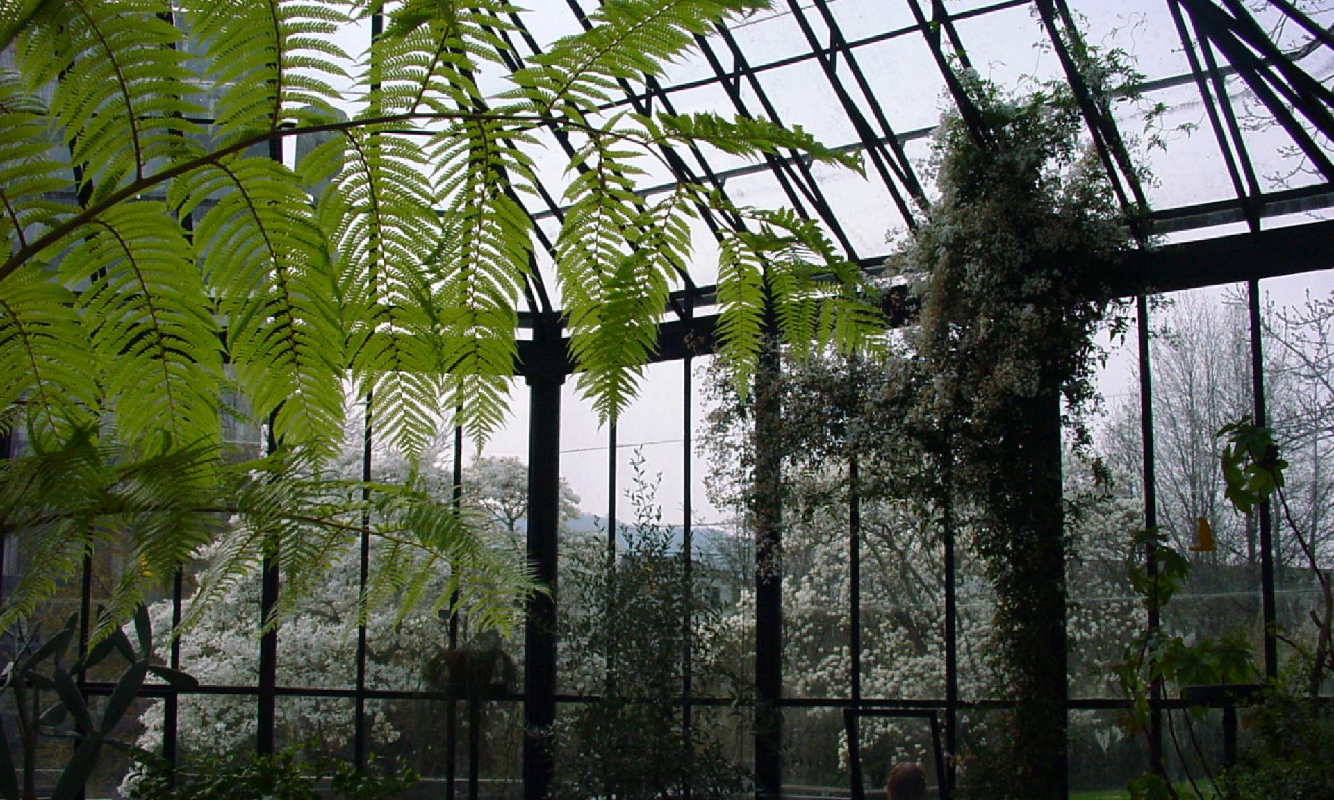 Alter Botanischer Garten