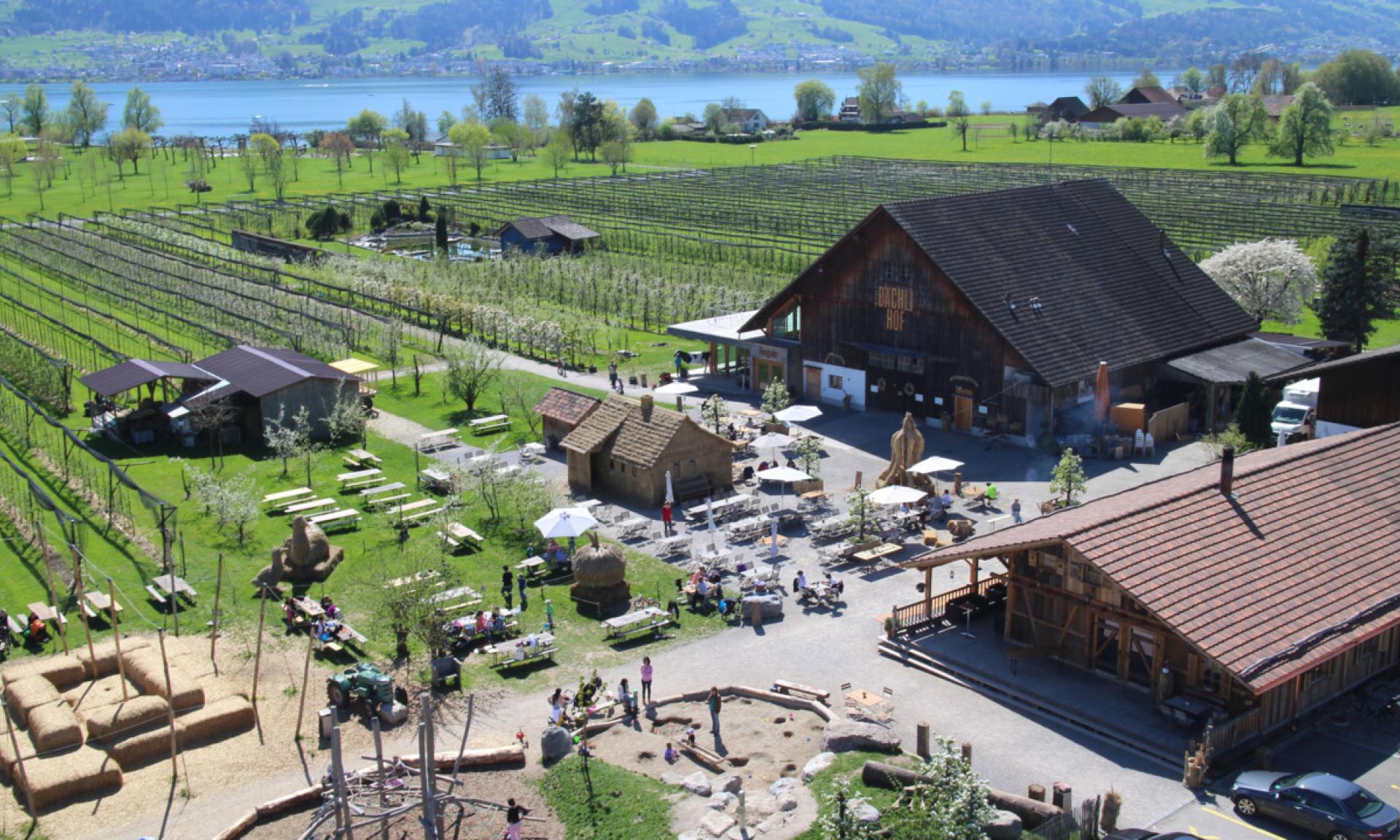Bächlihof