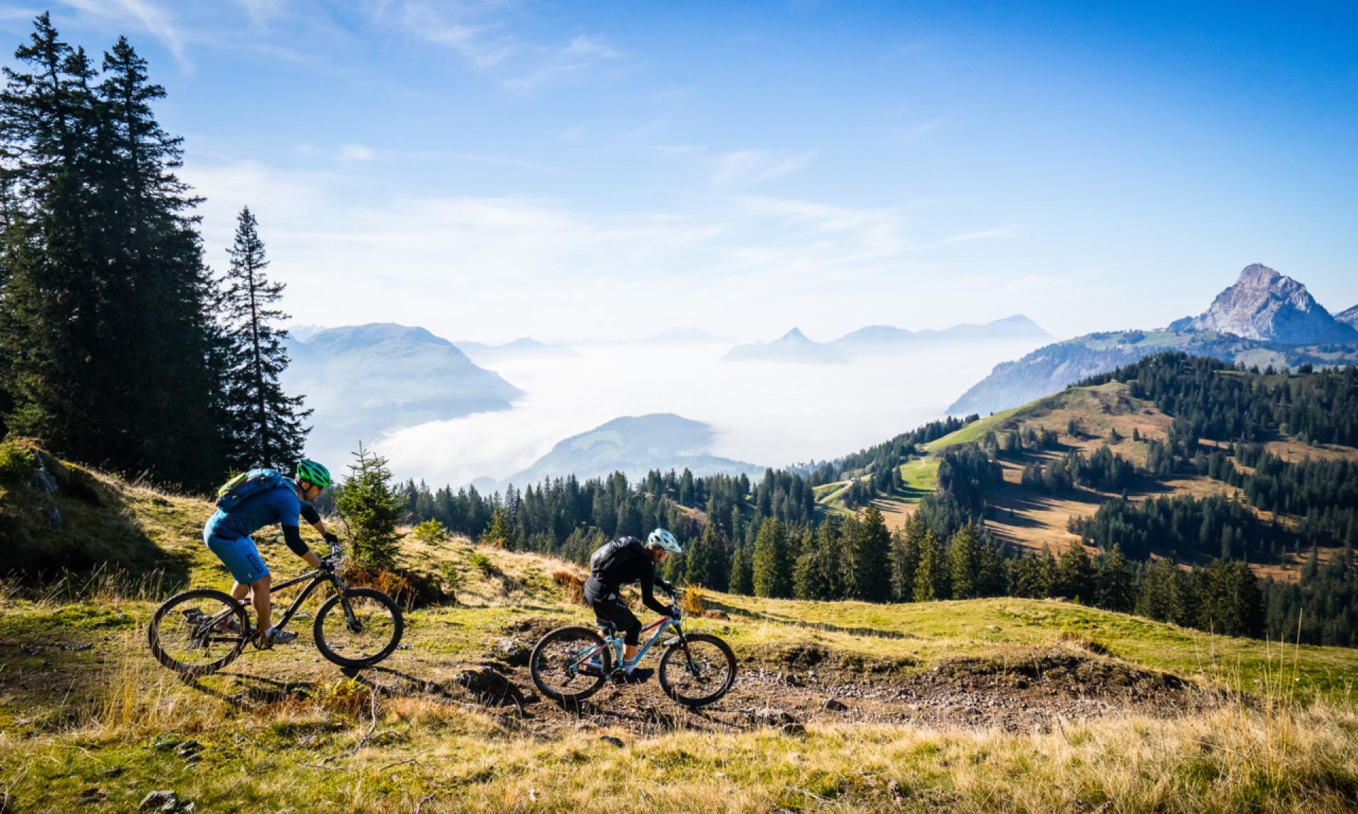 Bike Hoch Ybrig