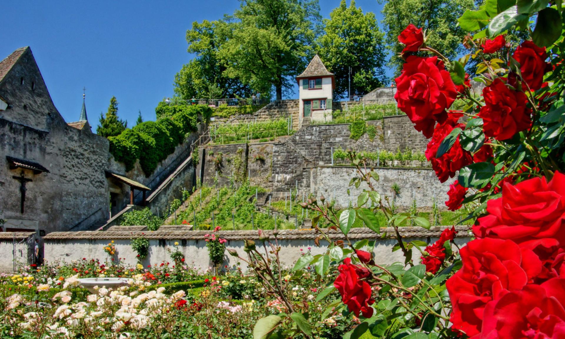 Rosenstadt Rapperswil