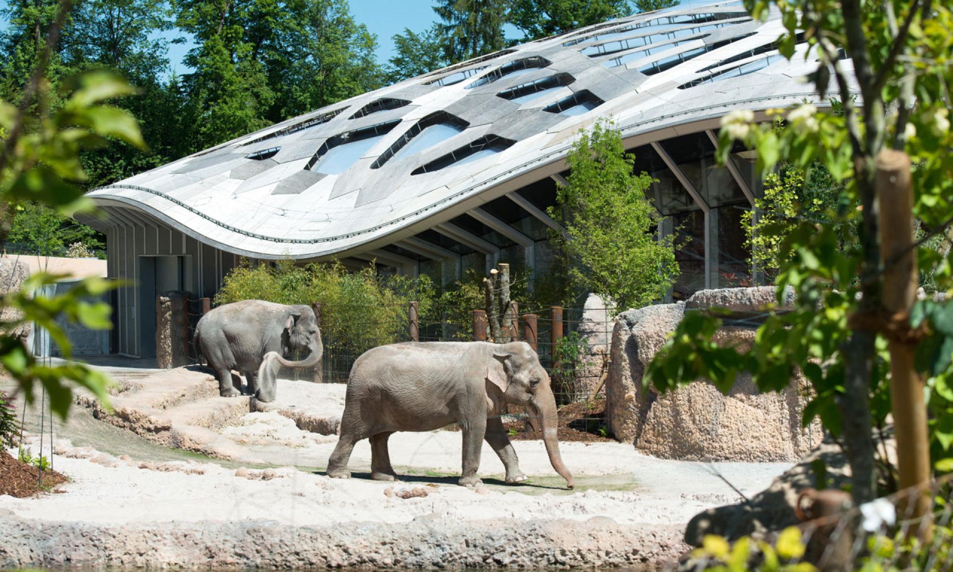 Elefantenhaus Zoo Zürich