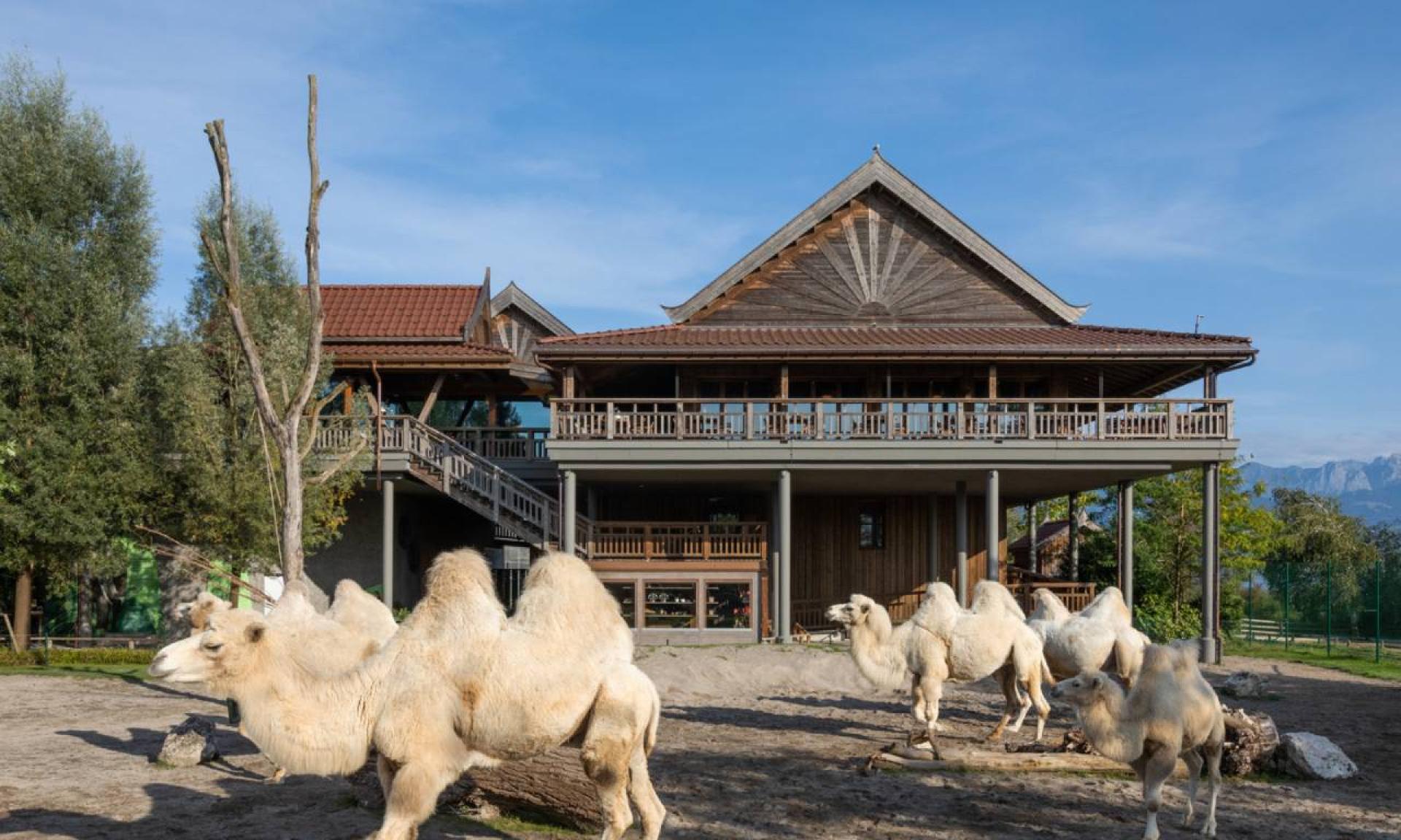 Himmapan Lodge