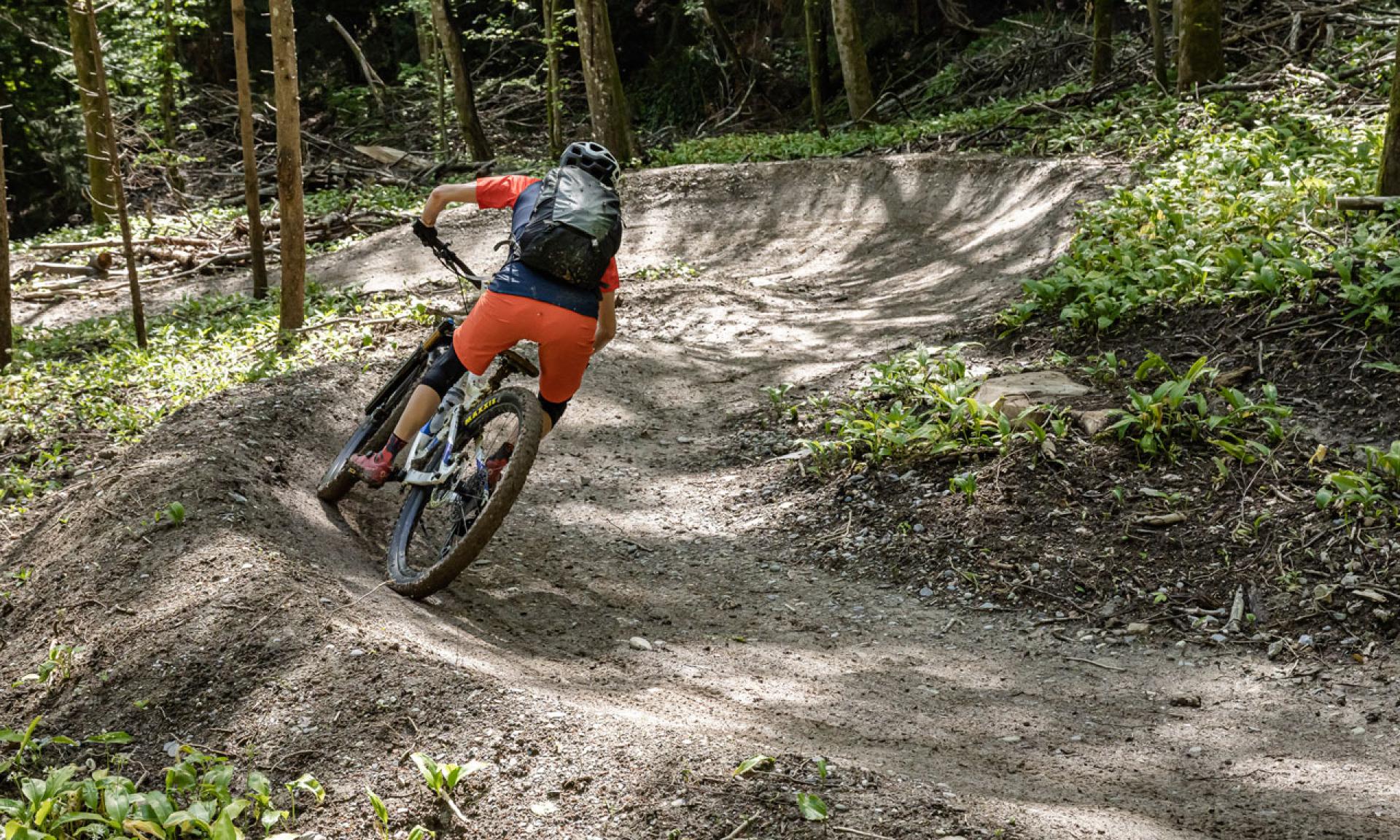 Itinerari per mountain bike sull’Uetliberg