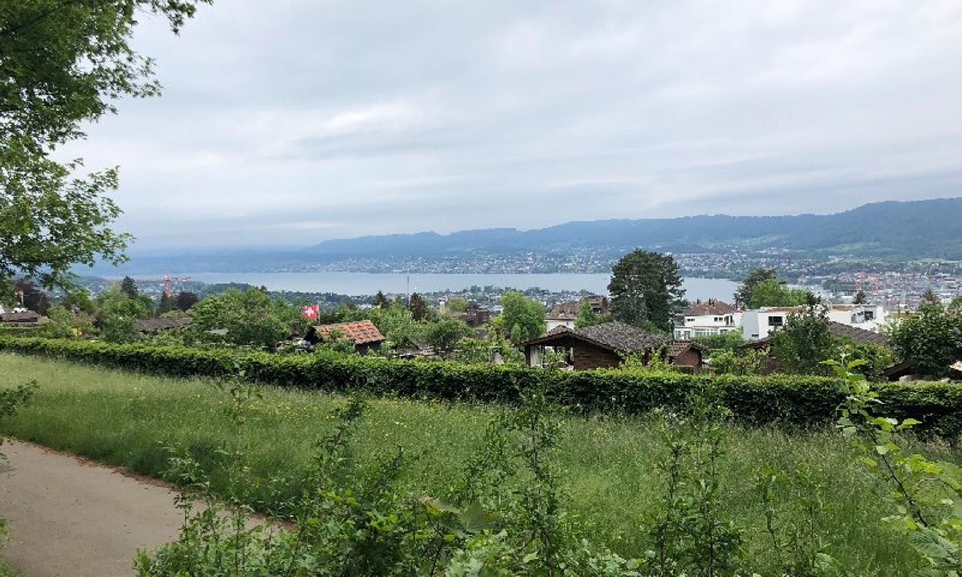 Orelliweg, Zurich