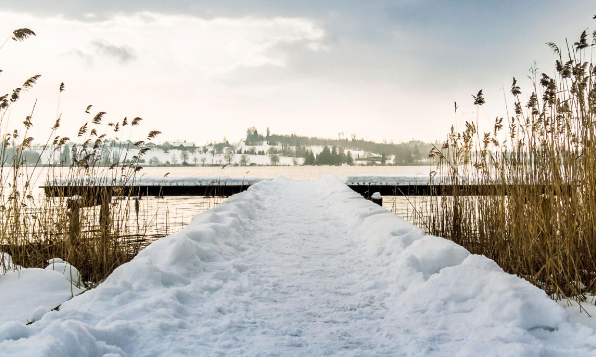 Pfäffikersee