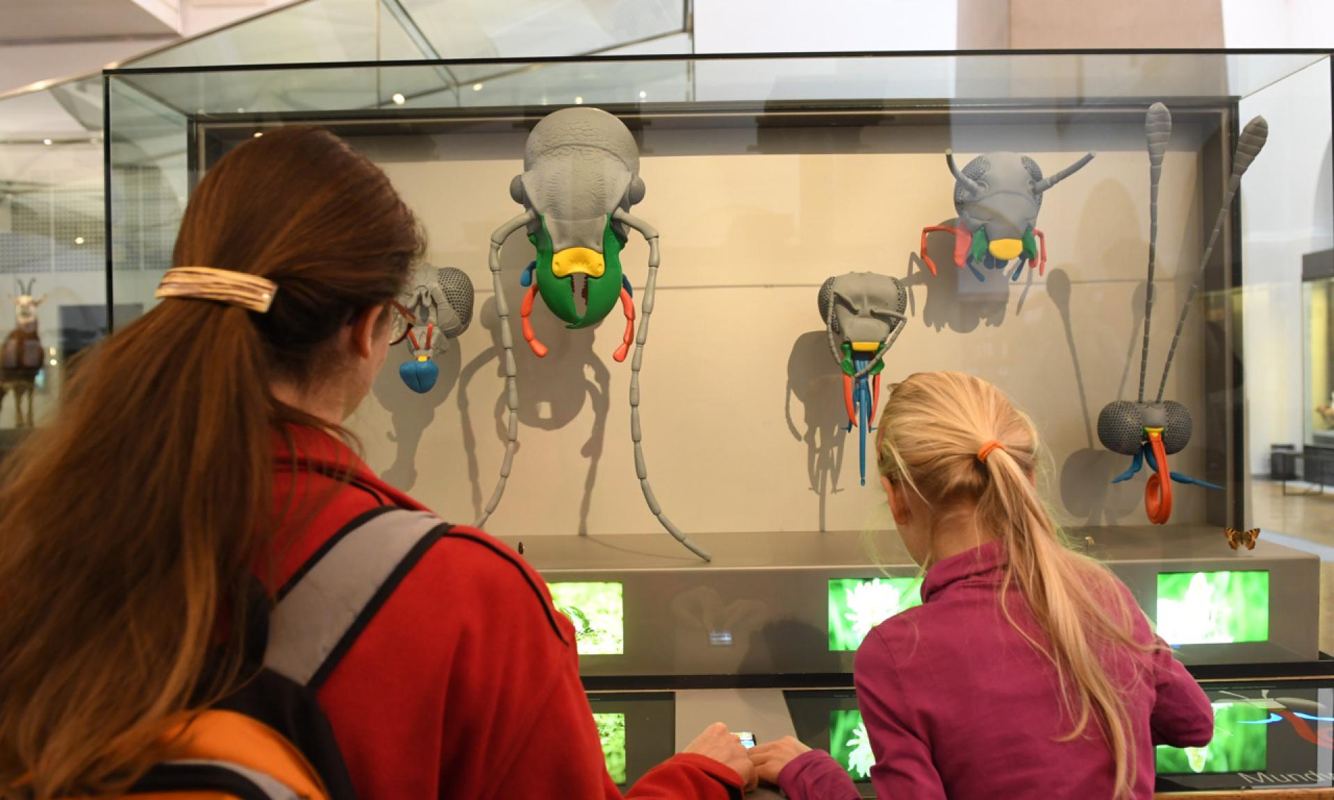 Zoologisches Museum