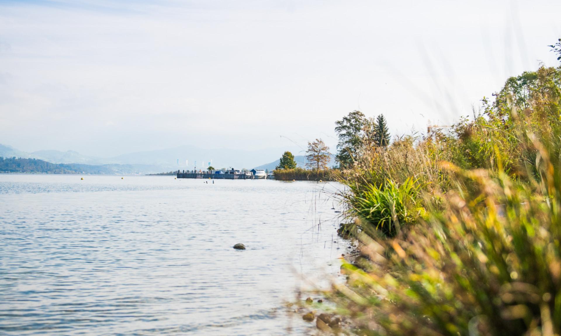 Zürichsee-Rundweg