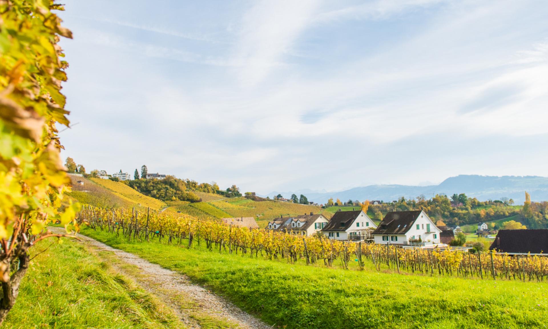 Zürichsee-Rundweg