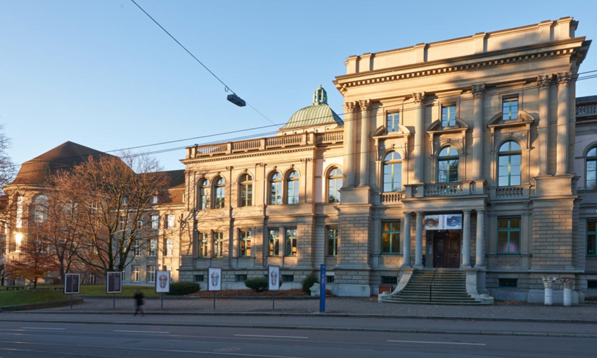 Archaeological Collection of the University of Zurich