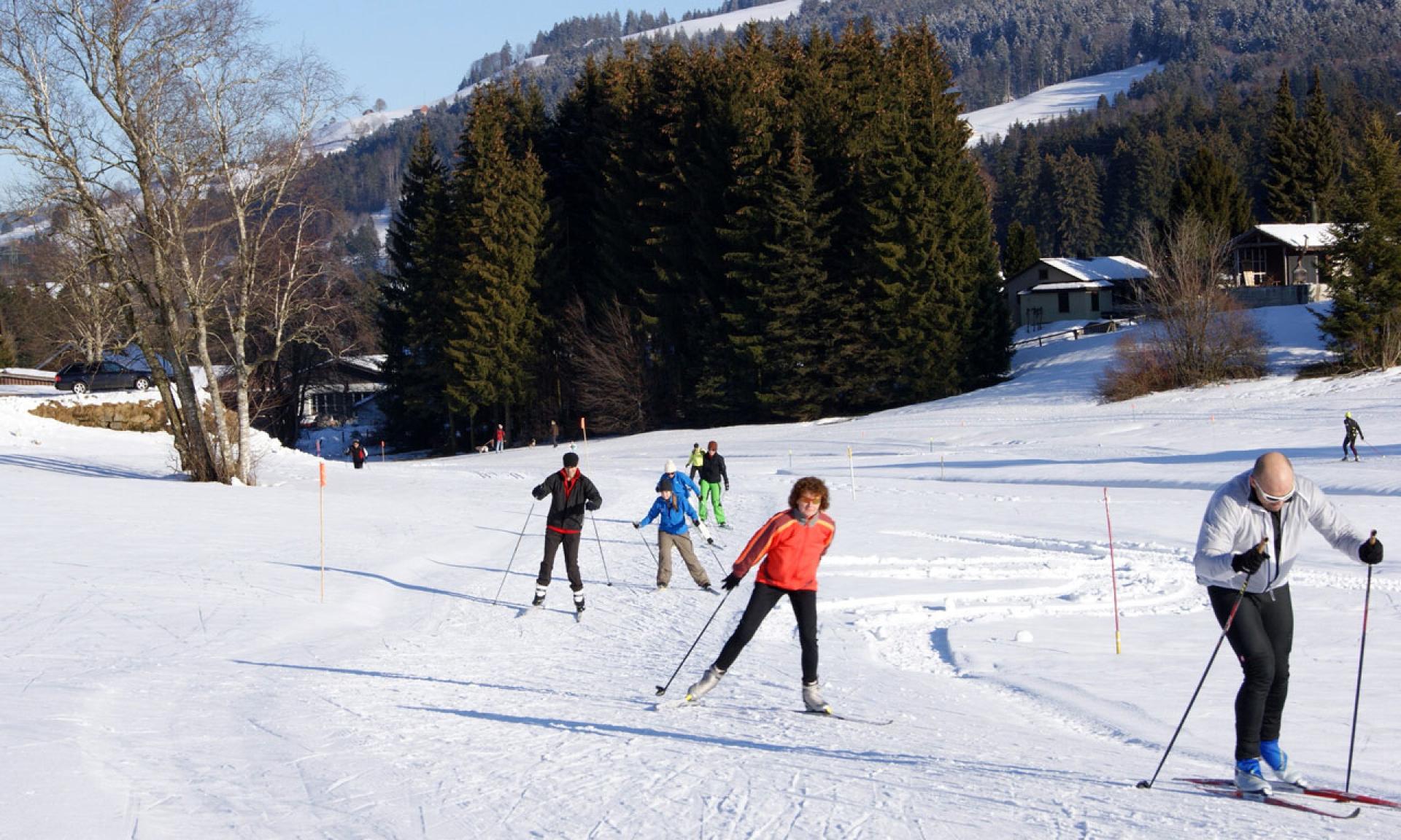 Rickenloipe (cross-country ski loops)