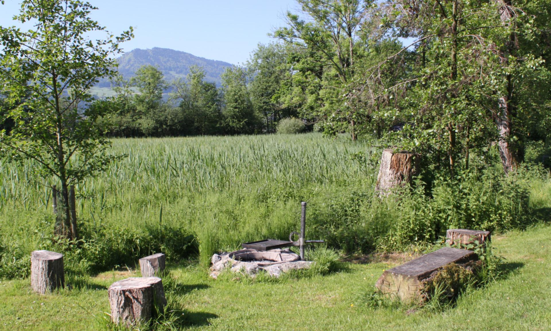 Isola di Lützelau