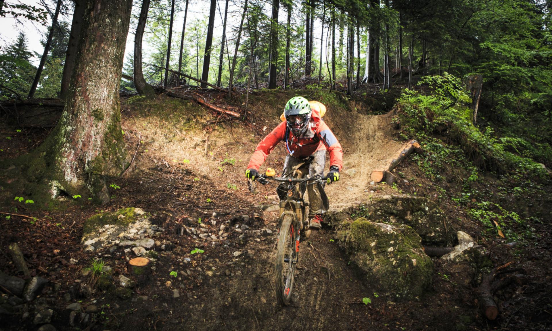 Zugerberg Biketrail