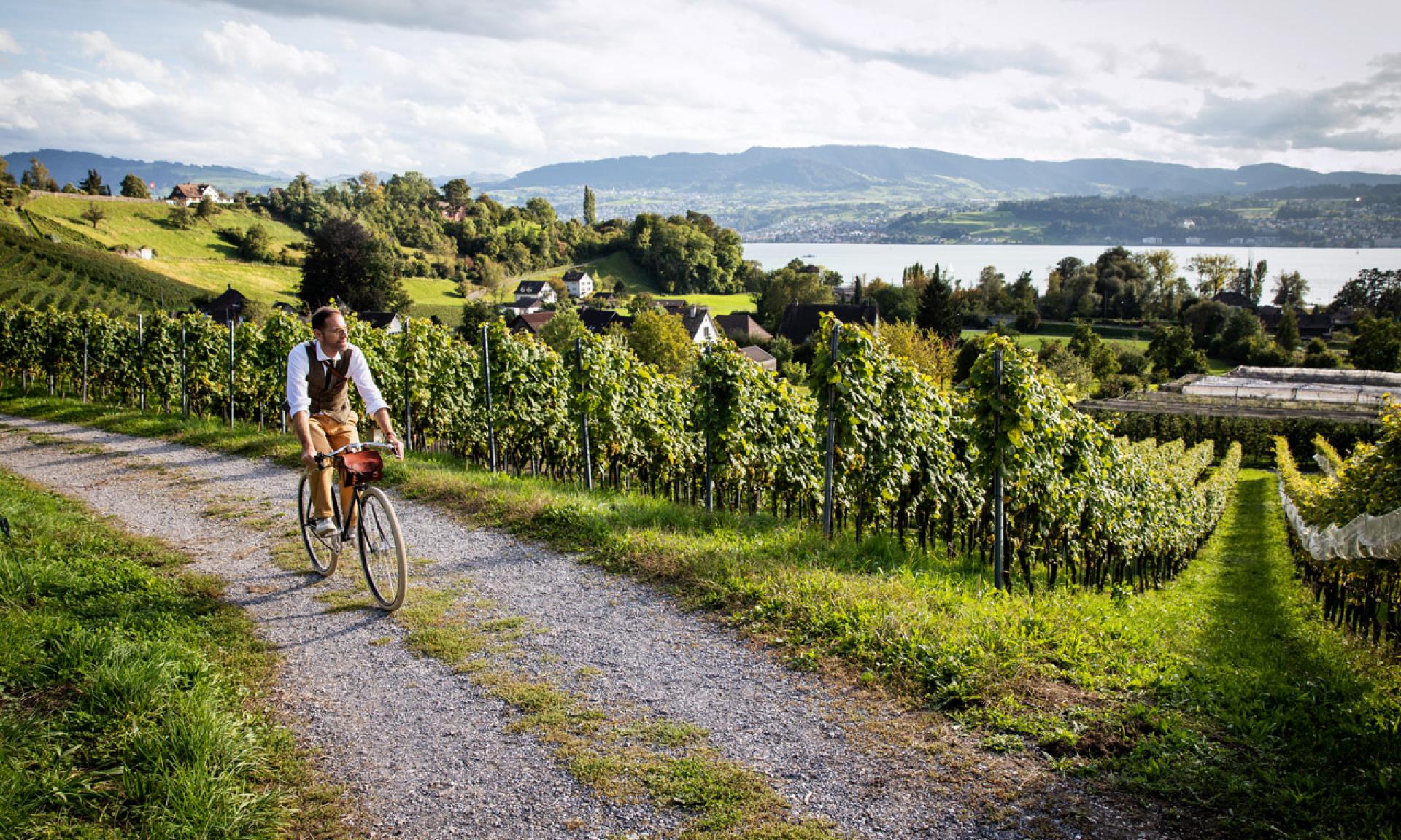 Bike Route 66, Vineyards