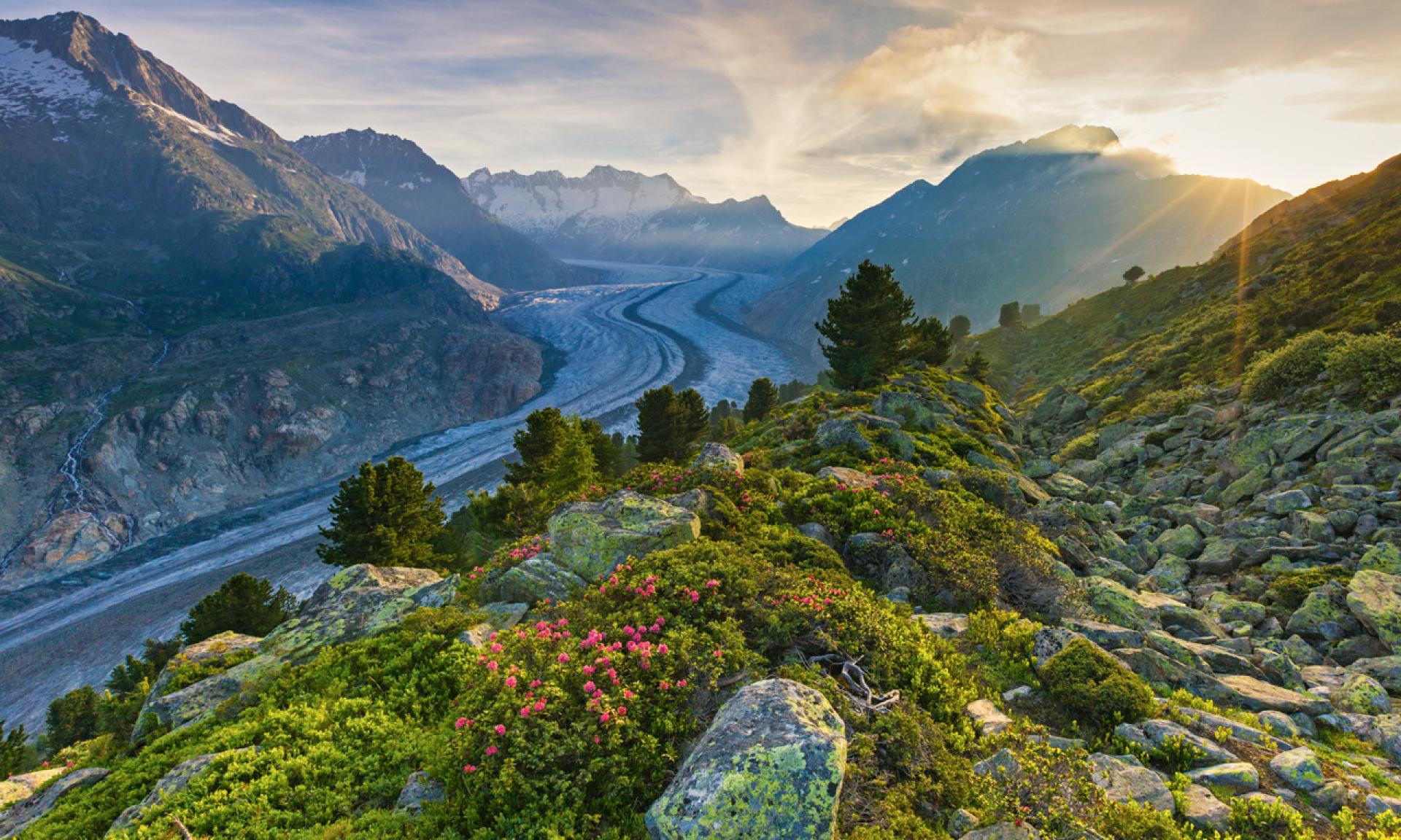 Riederalp, Aletschgletscher
