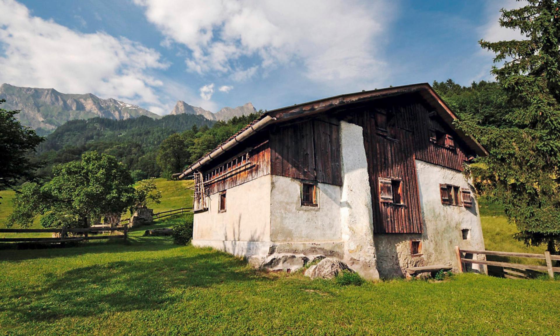 Heidi's House