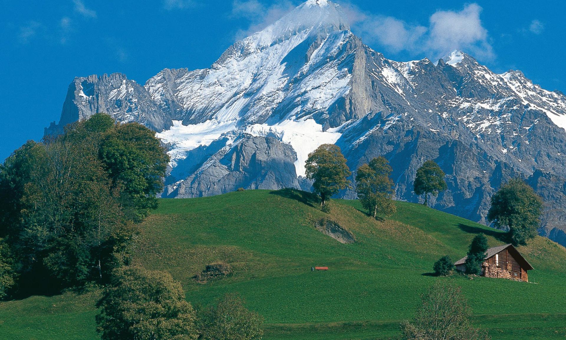 Interlaken Grindelwald Tour