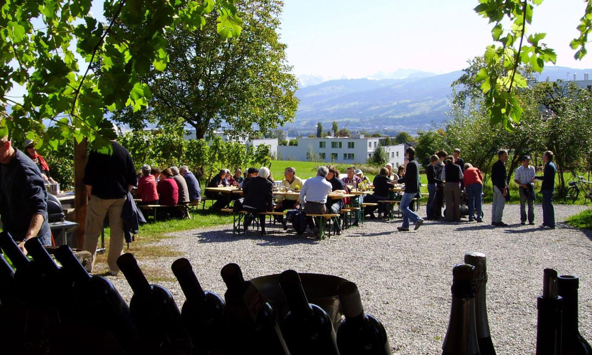 Weingut Rütihof