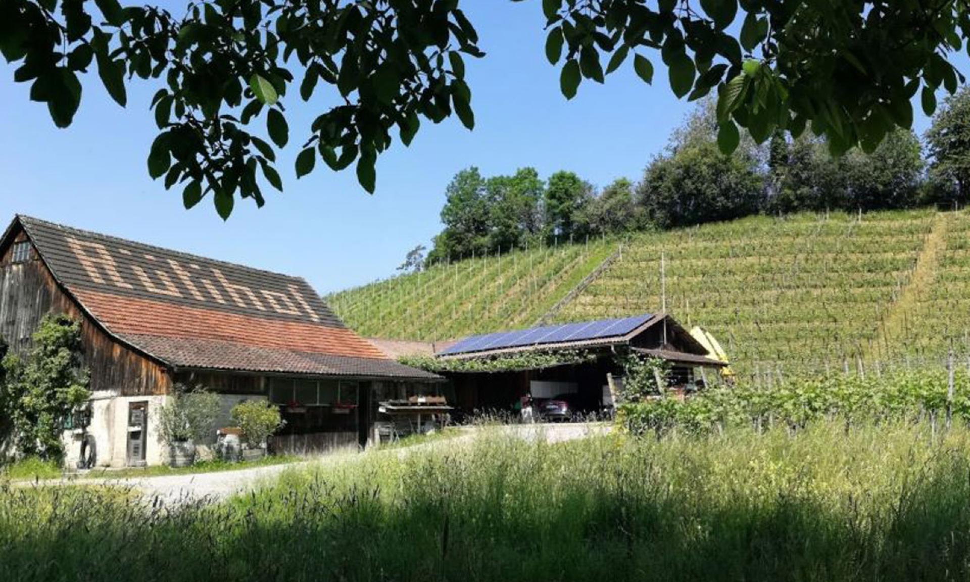 Weingut Rütihof