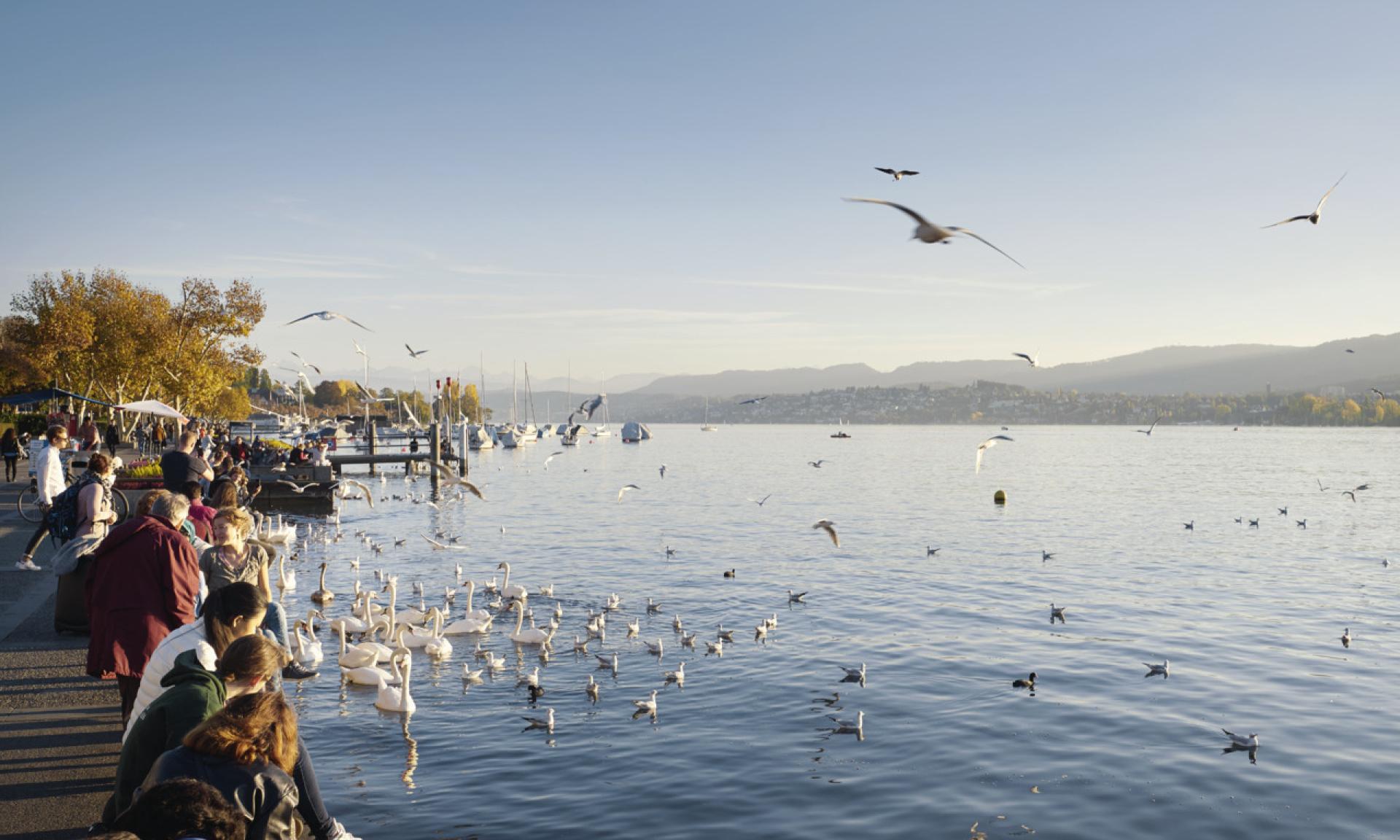 Lake Zurich