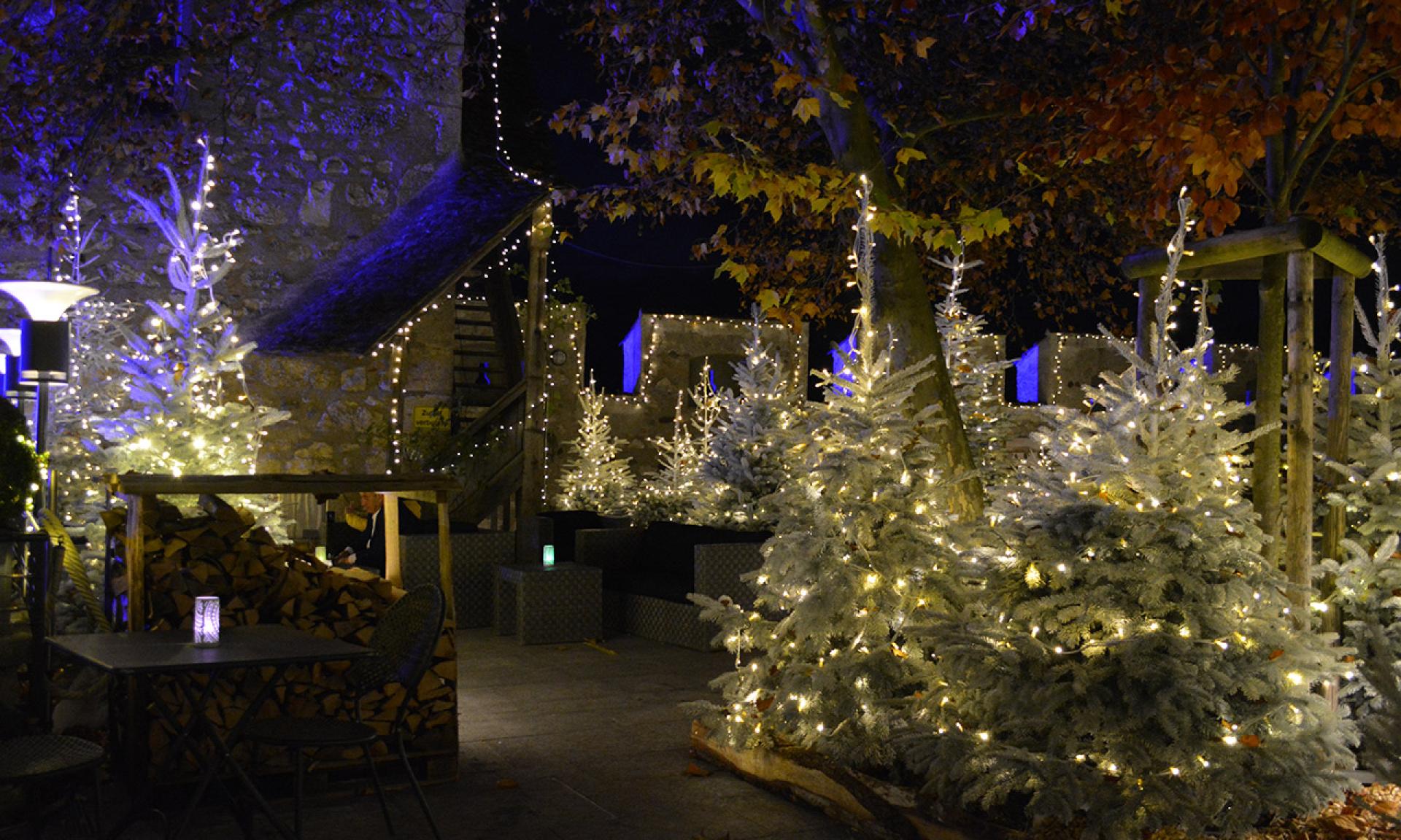Restaurant Schloss Laufen