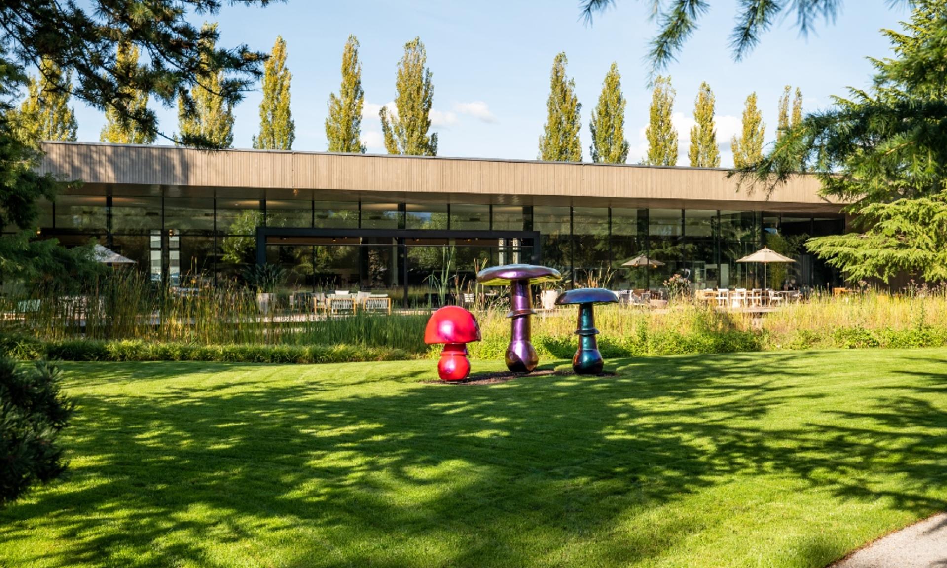 Enea Baummuseum