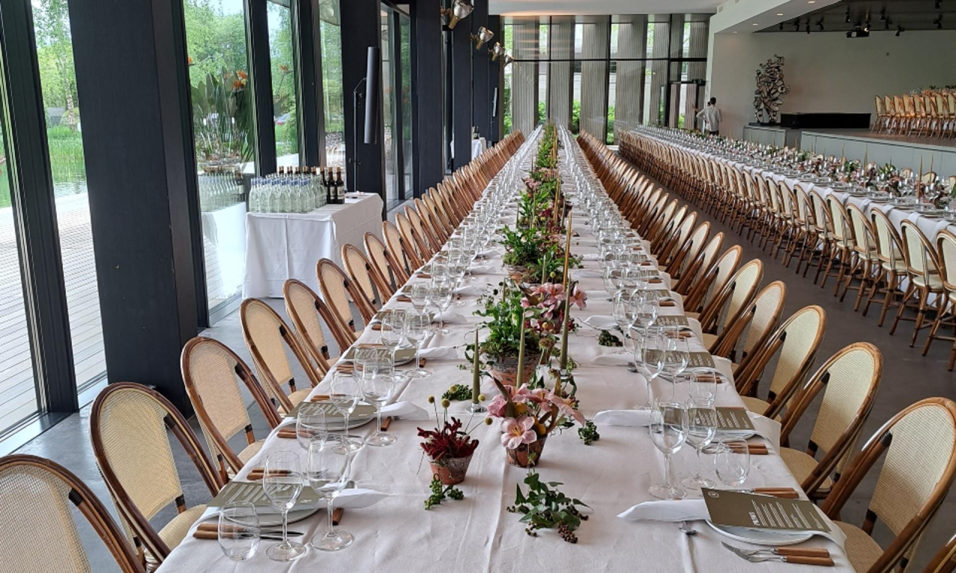 Enea Baummuseum - Showroom