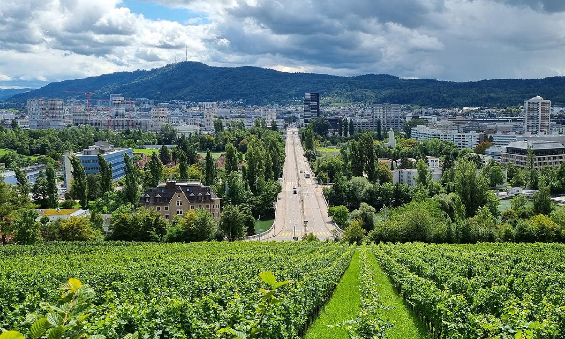 Städtischer Gutbetrieb Juchhof