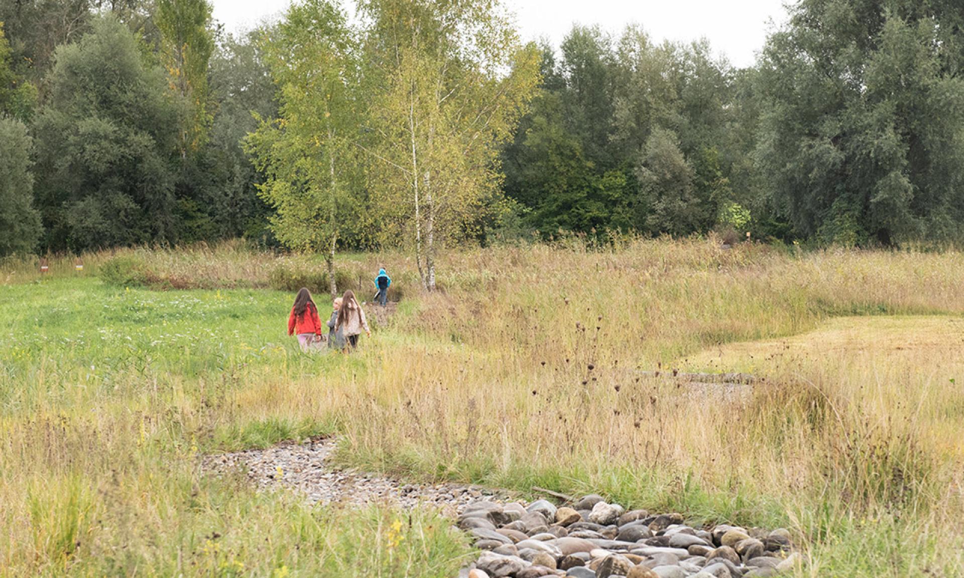Naturstation Silberweide
