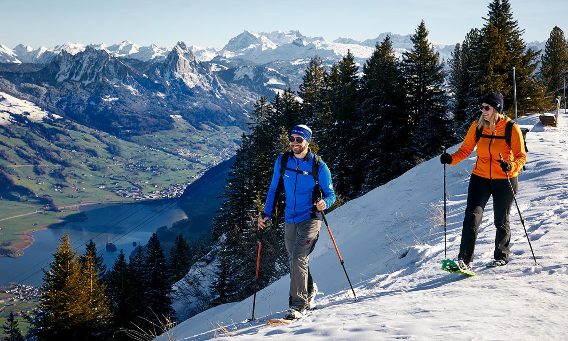 Rigi