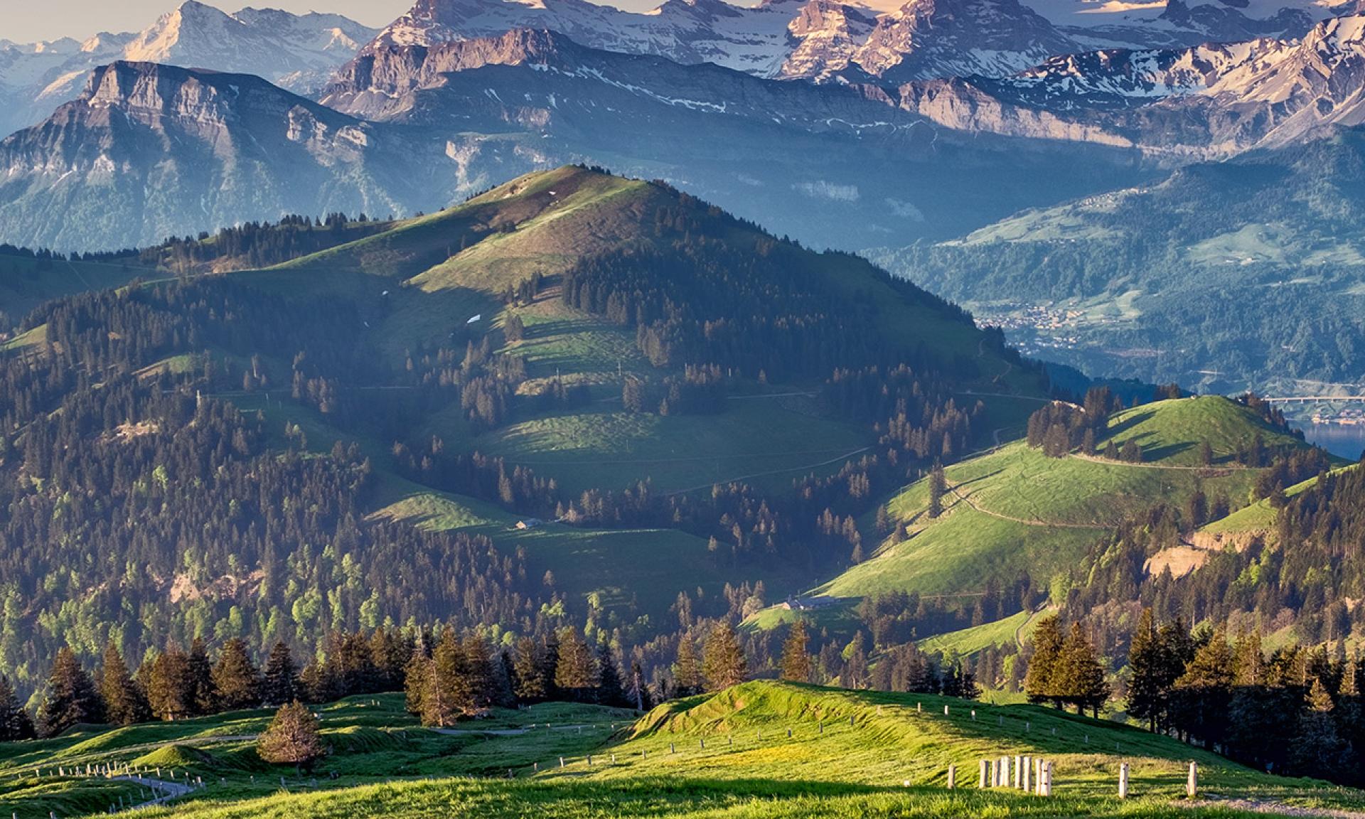 Rigi