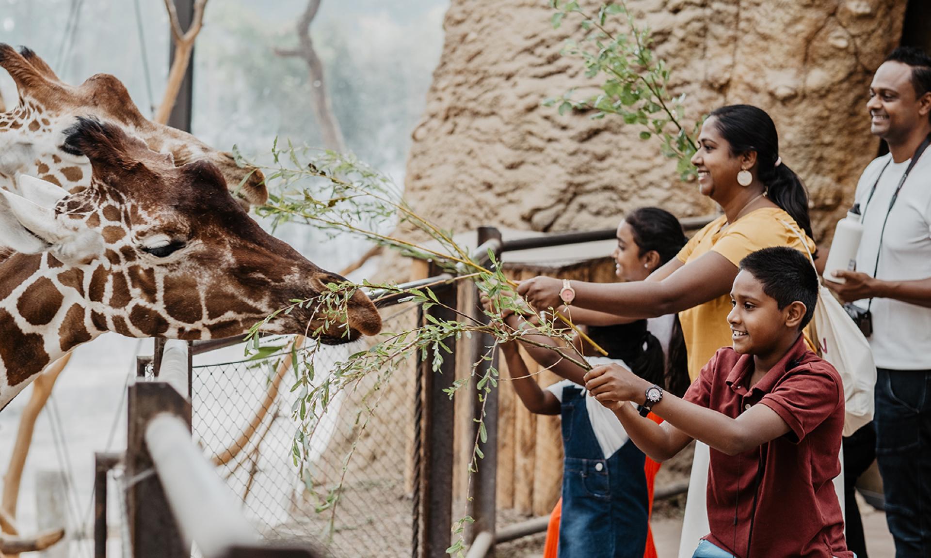Zoo Zürich