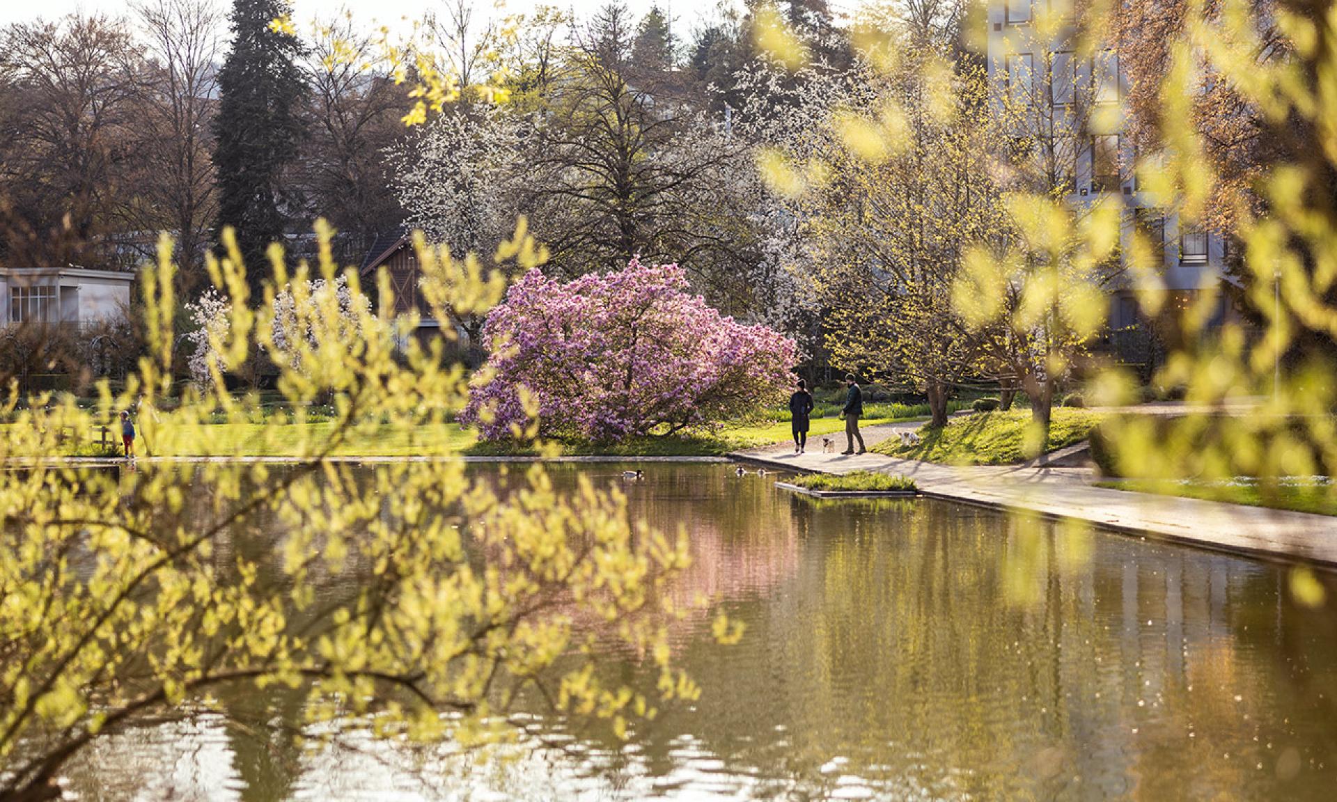 Belvoirpark