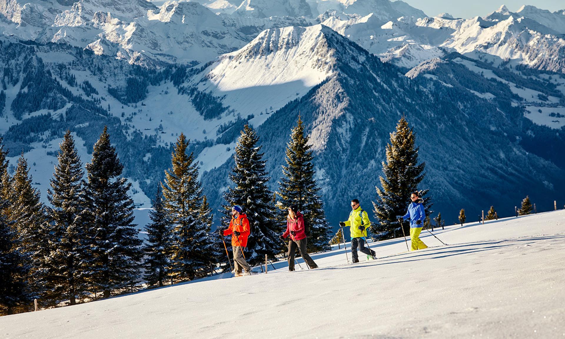 Schneeschuhwandern Rigi