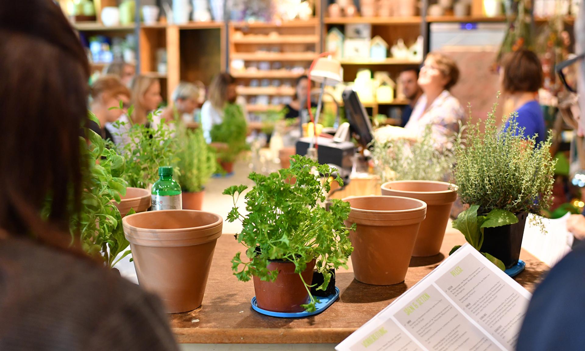 Urban Gardening