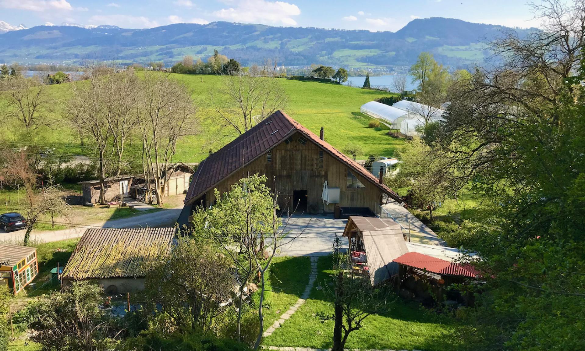 Synergy Village, Venue