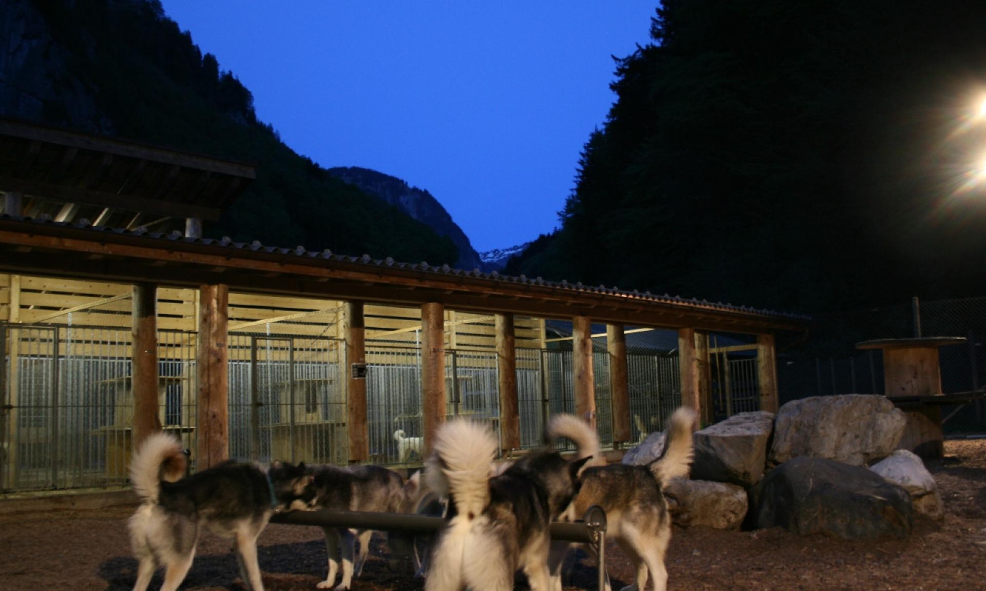 Husky-Lodge Muotathal