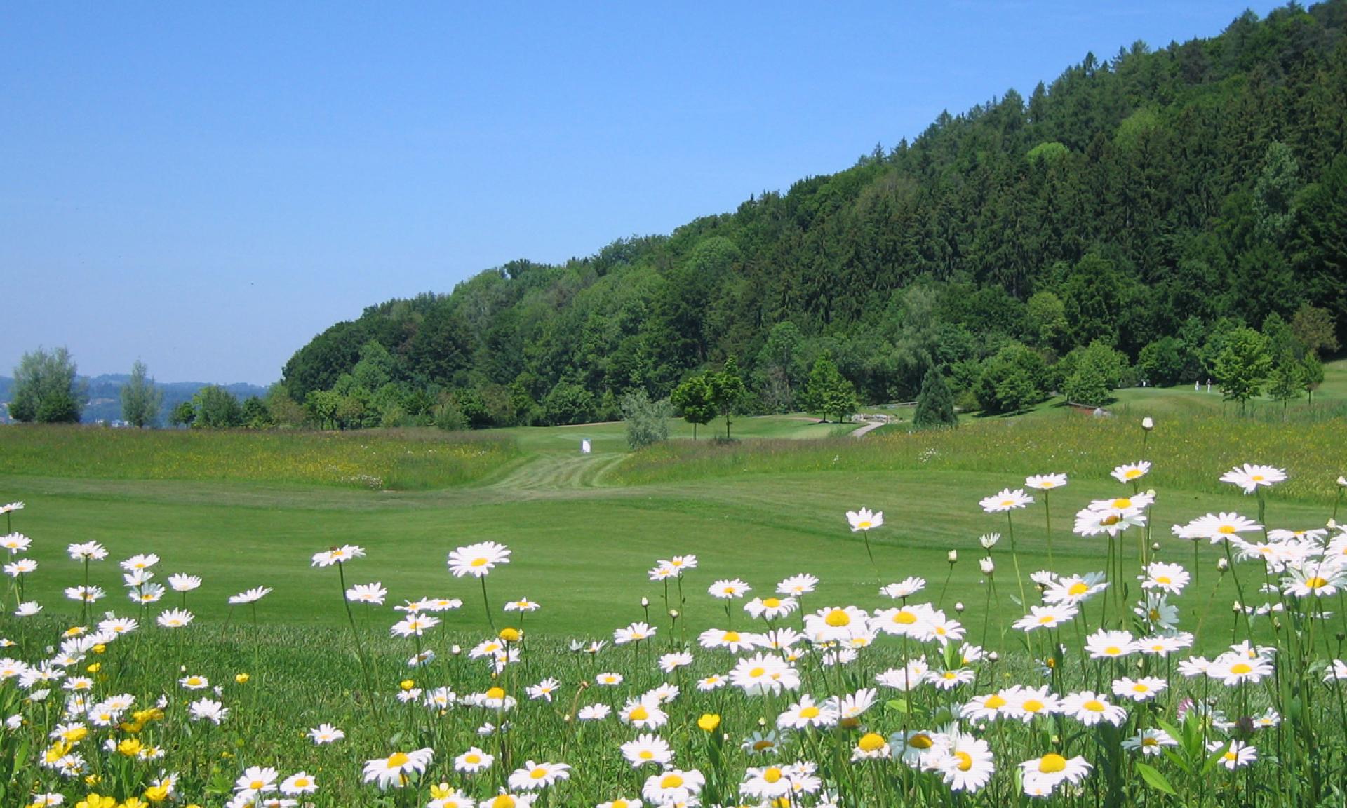Golf Park Zürichsee during Spring