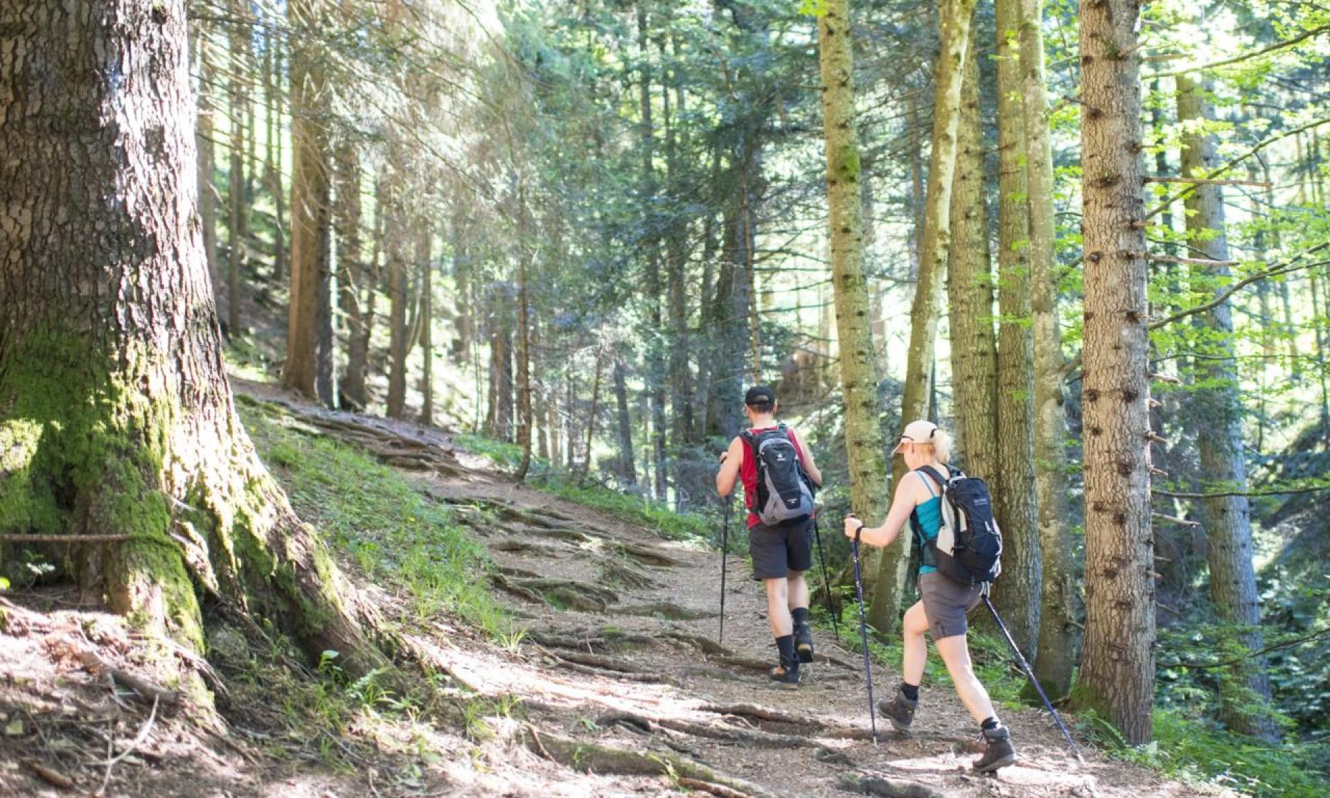 Schwyzer Höhenweg