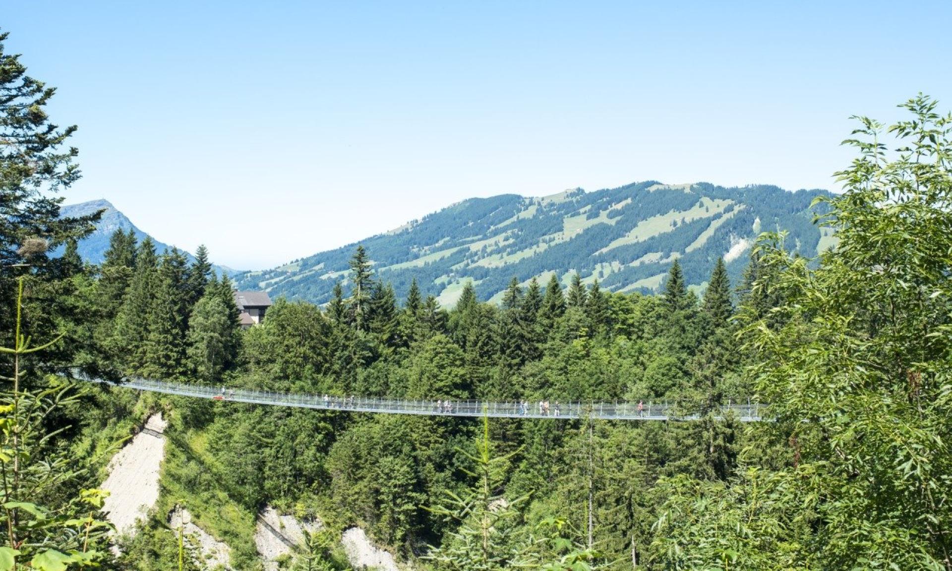 Skywalk suspension bridge