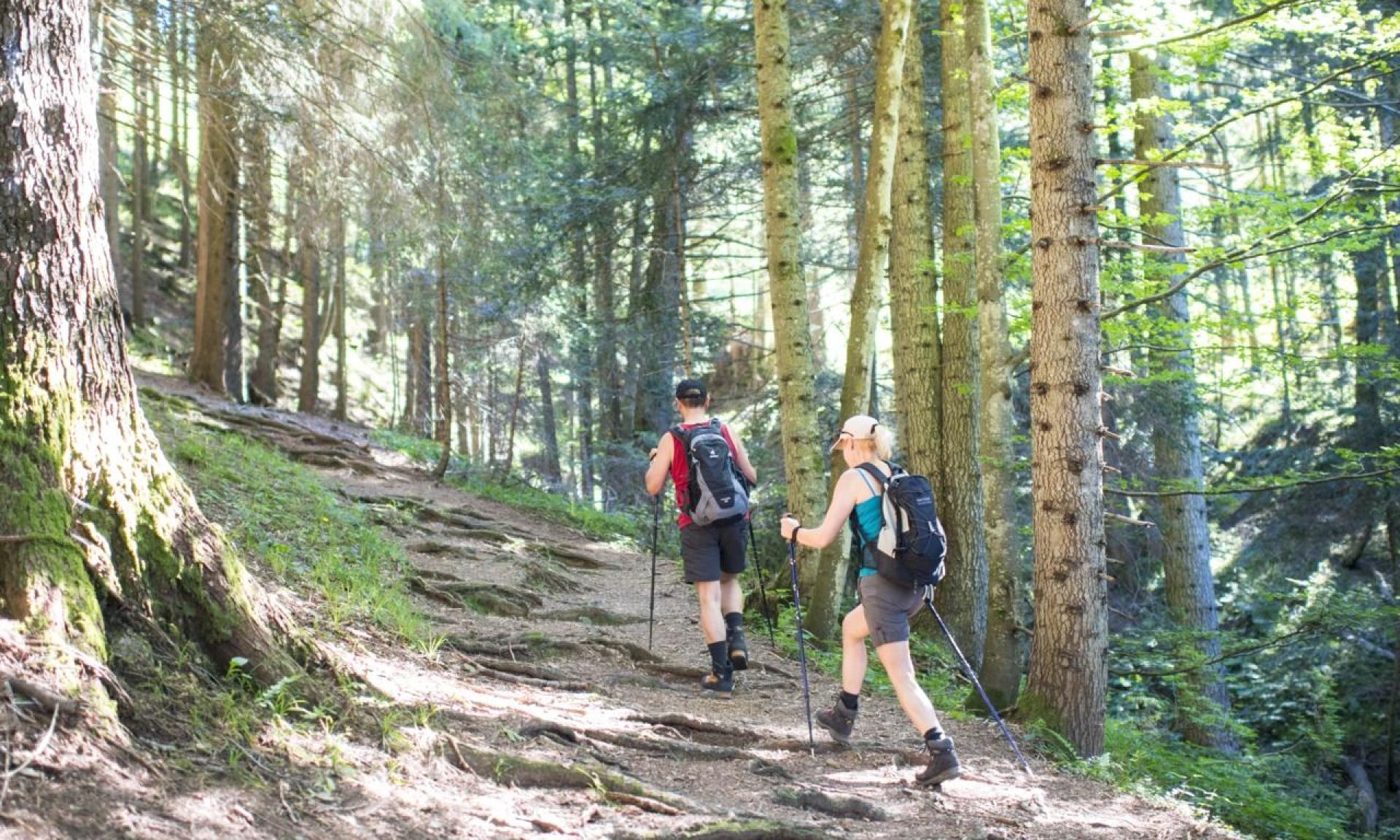 Schwyzer Höhenweg