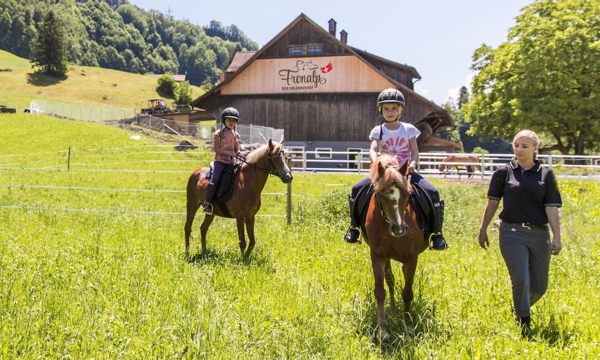 Farm experience and horse riding
