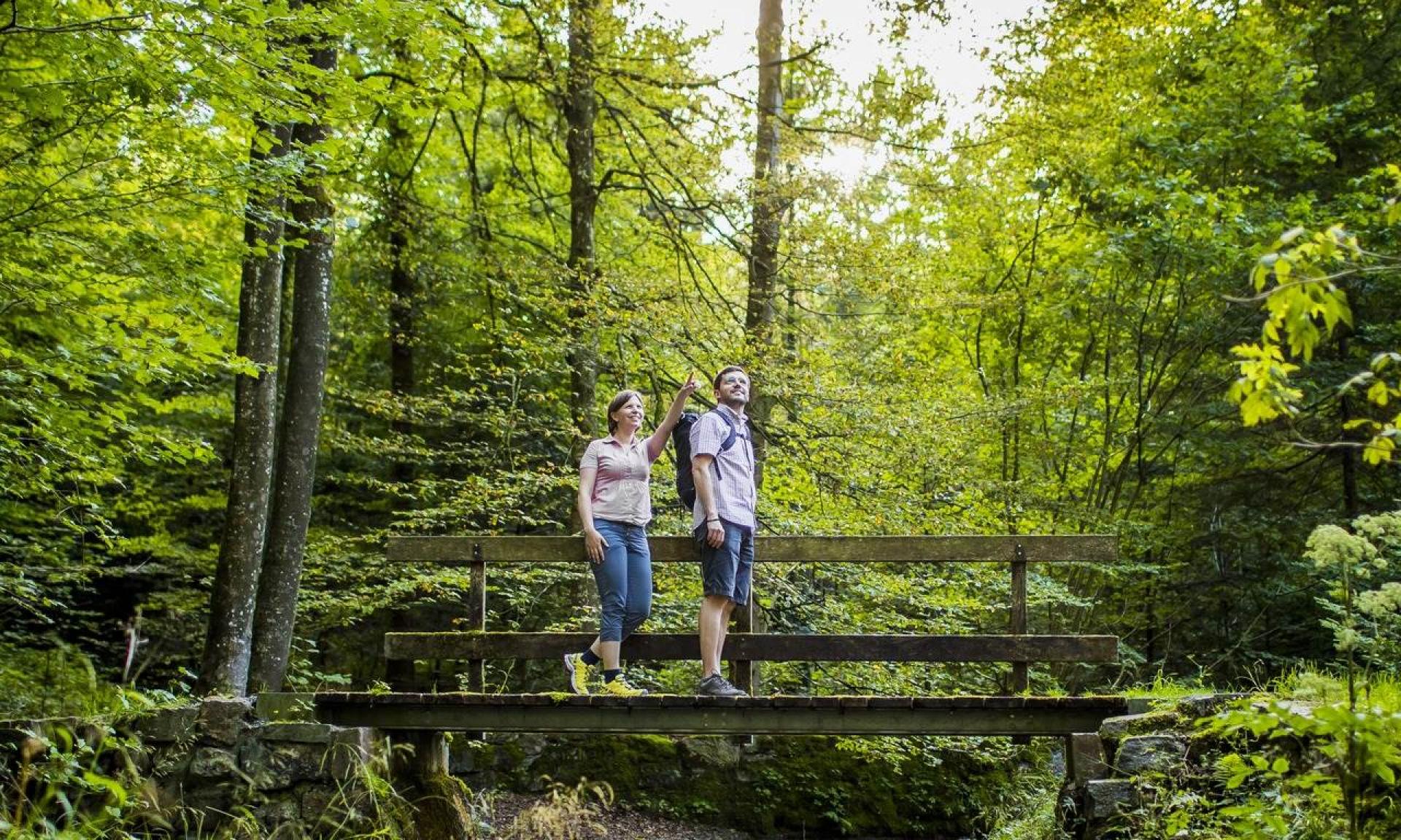 Pfannenstiel Weg