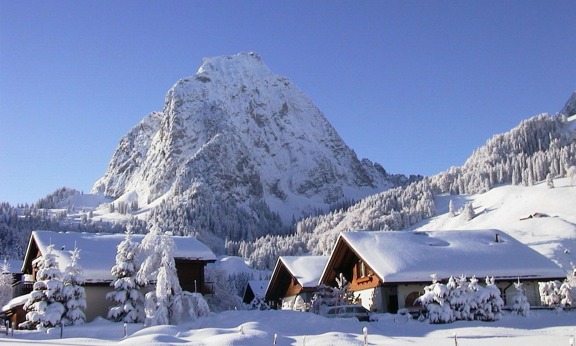 An enchanting winter world