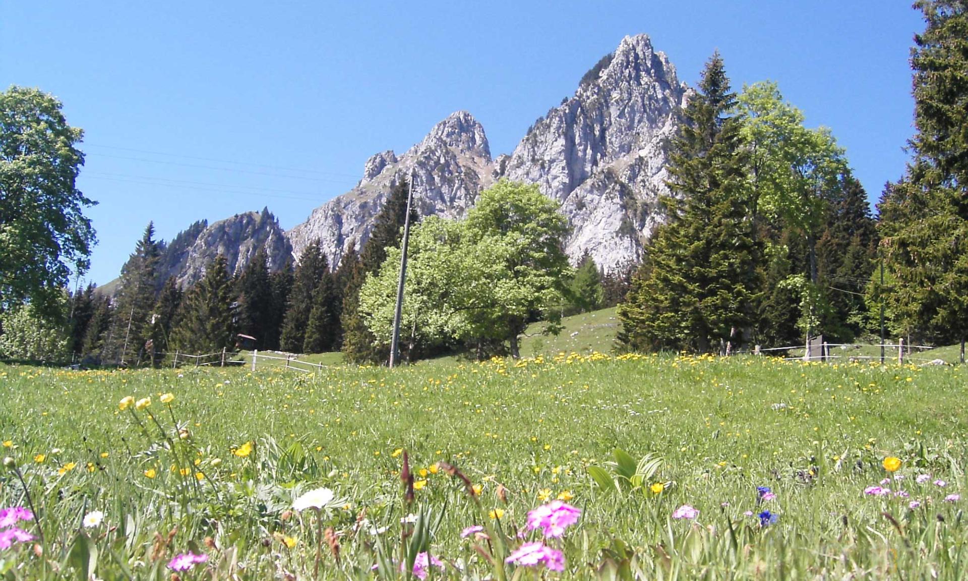 Ideale per una bella gita