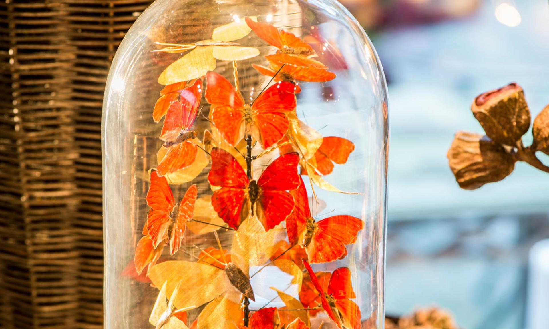 Design Tour Zug, Blumen Bellefleur