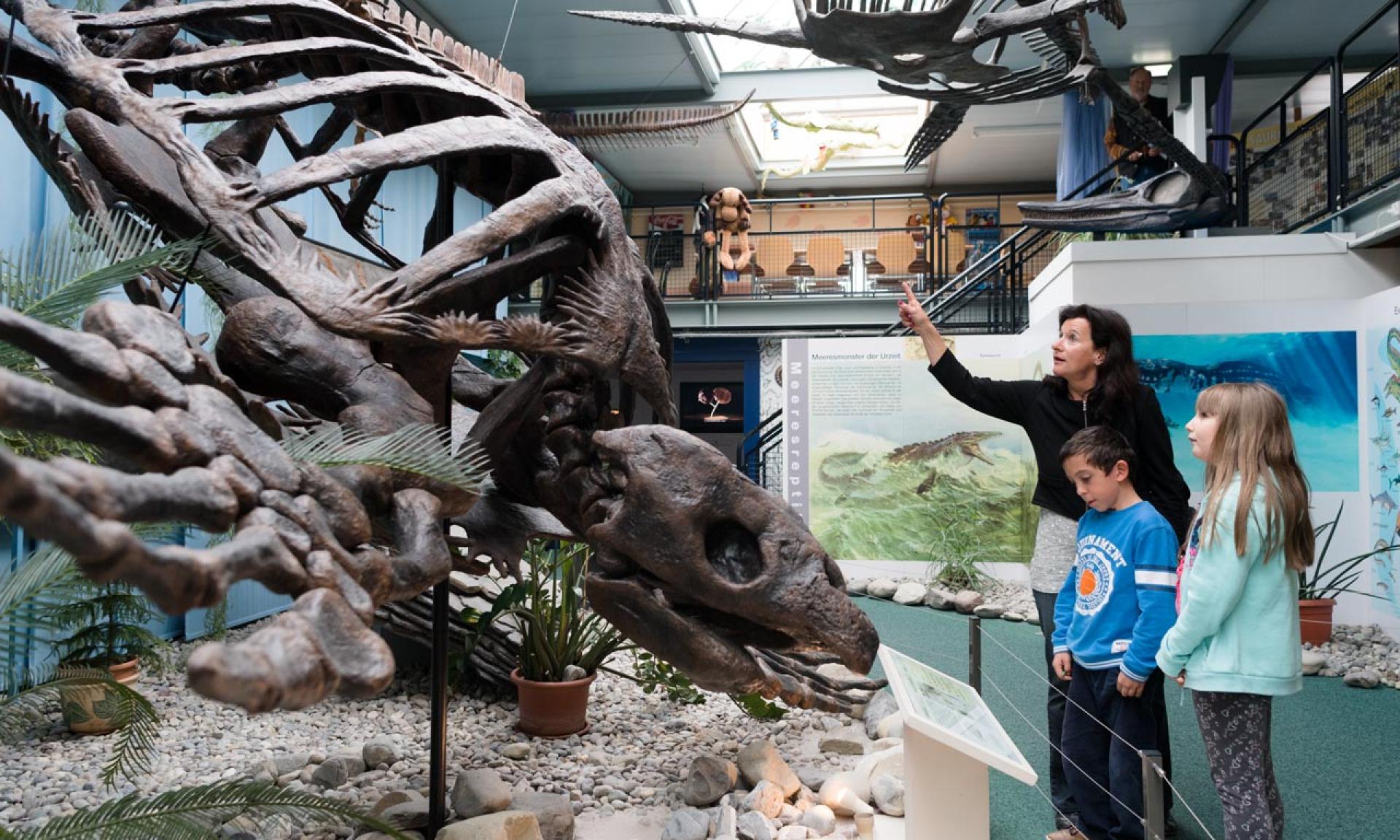 Musée des dinosaures Aathal