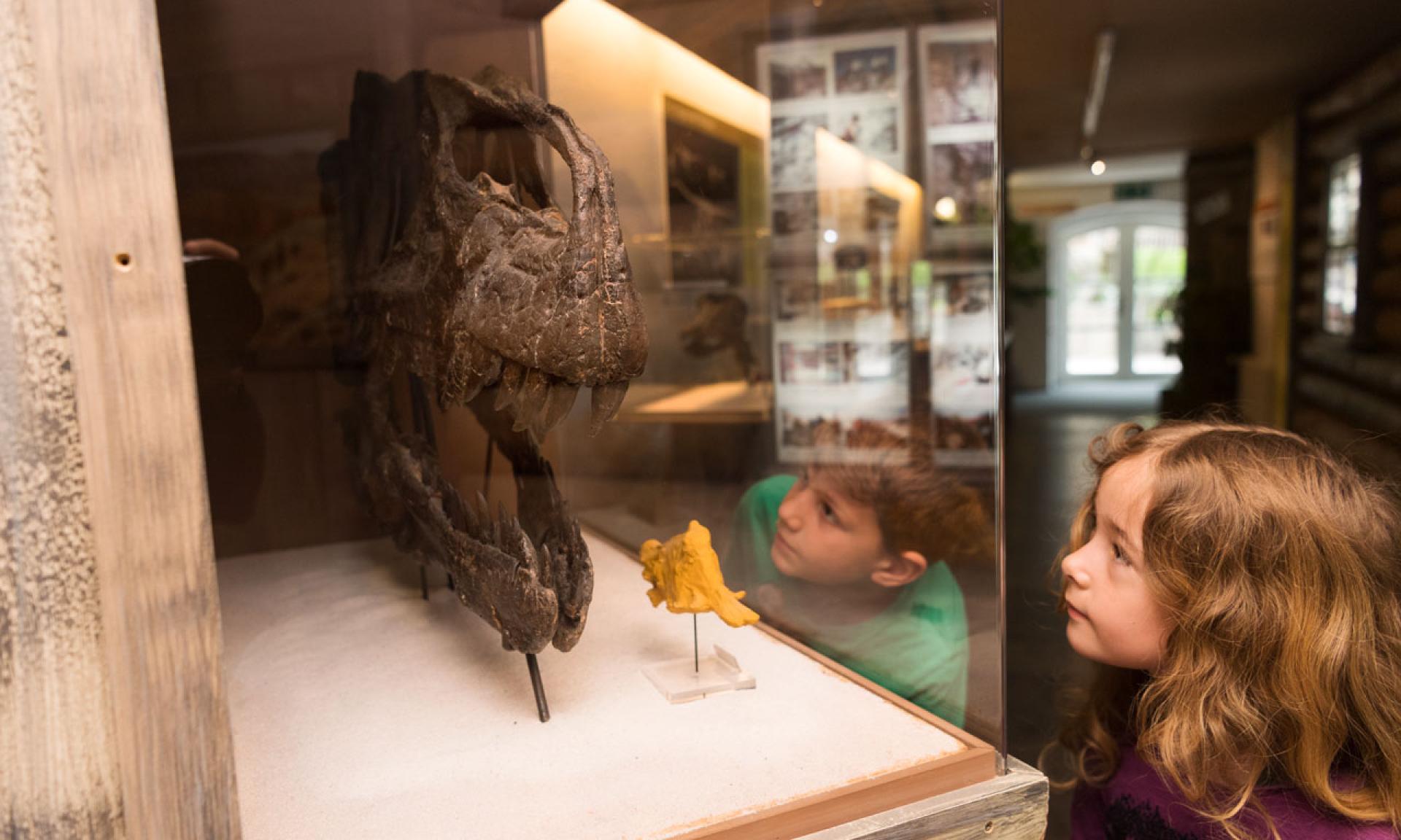 Musée des dinosaures Aathal
